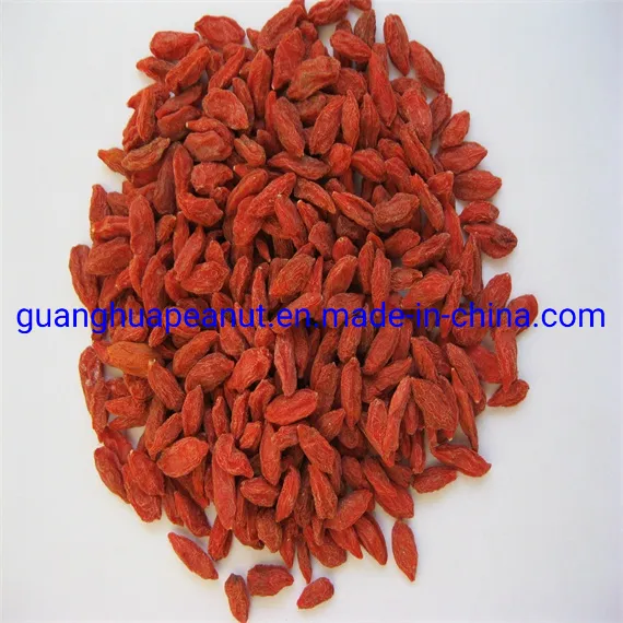 Dried Goji Berry with The Best Quality and Health