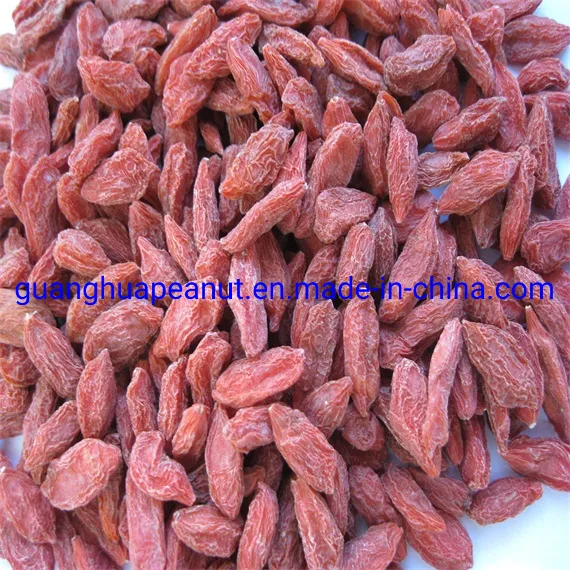 Dried Goji Berry with The Best Quality and Health