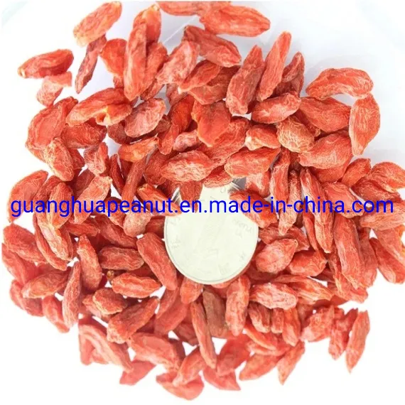 Dried Goji Berry with The Best Quality and Health