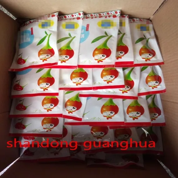 Dried Goji Berry with The Best Quality and Health