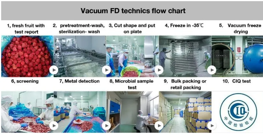 Freeze-Dried Strawberry Slice with Suger