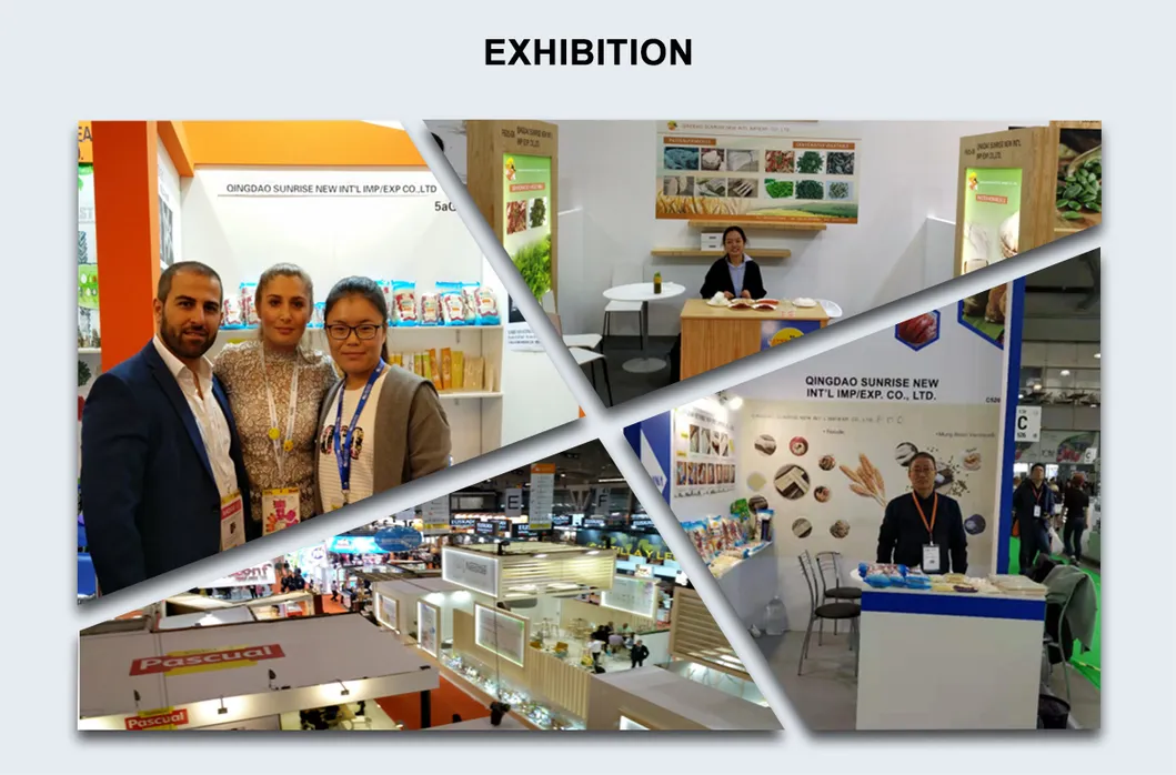 Japanese Style Dry Soba Noodles