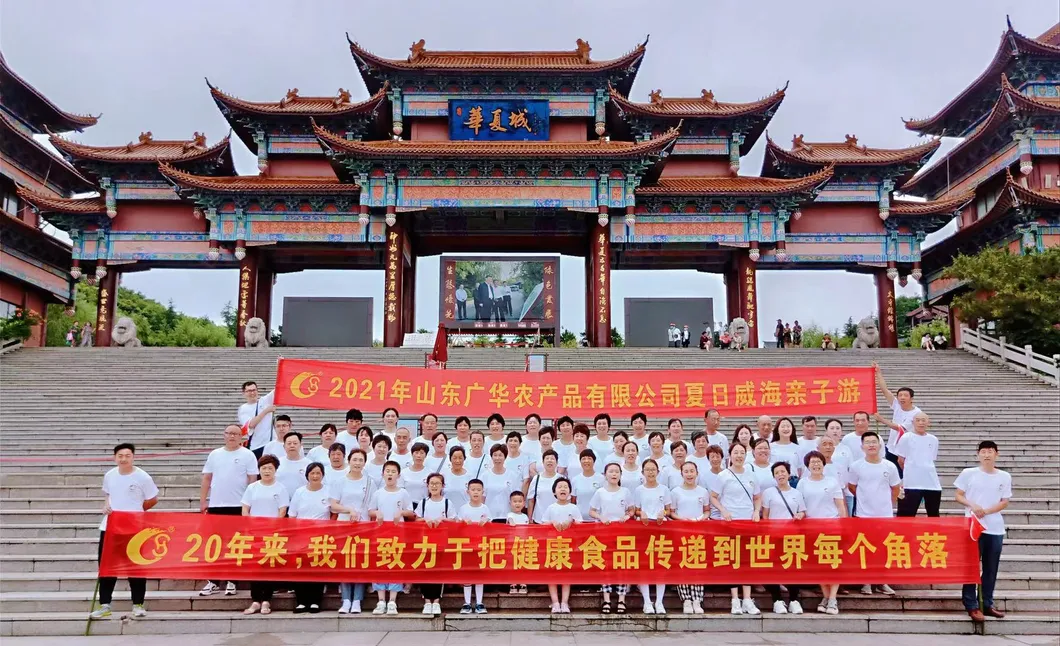 Made in China Good Taste Dried Strawberry