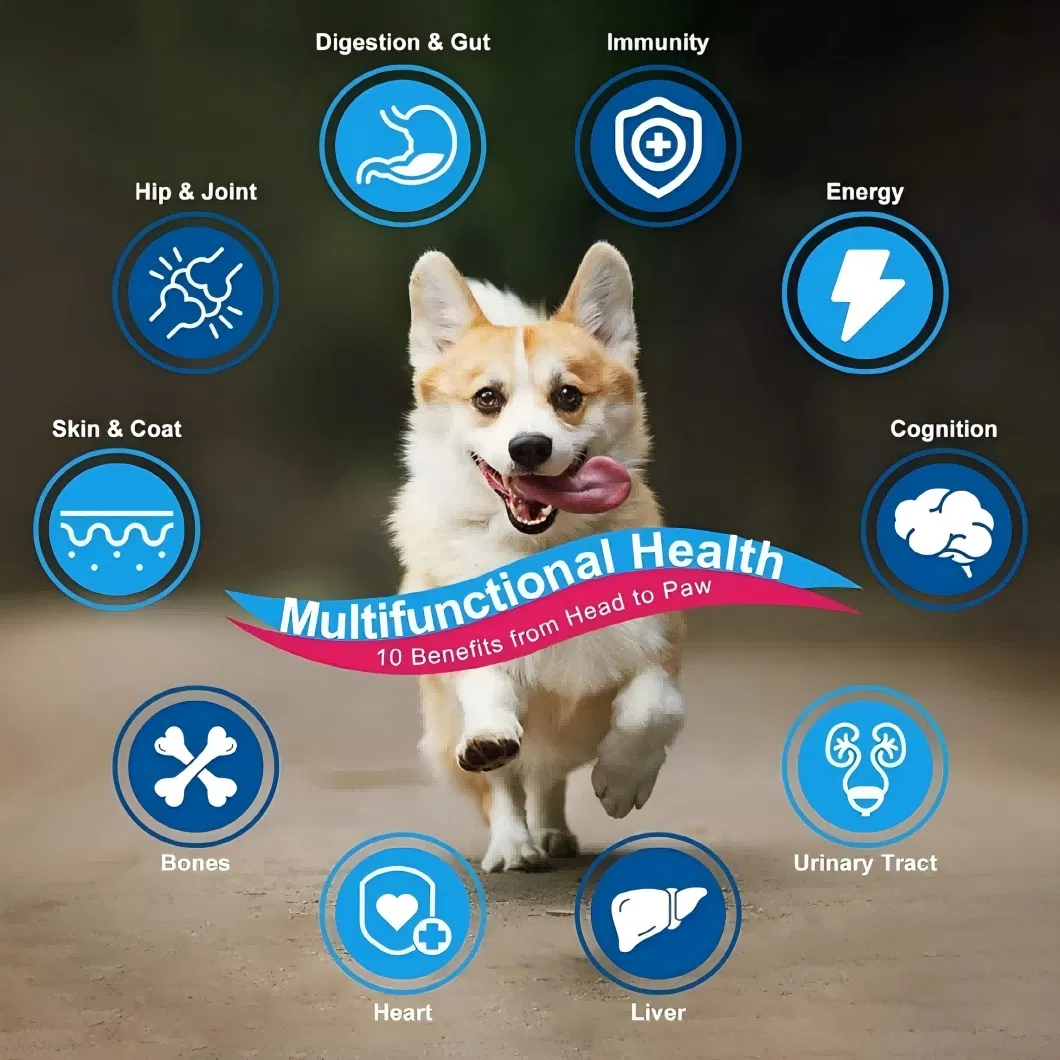 Multivitamin Mineral Powder for Dogs and Cats Daily Nutrition Immune Booster OEM Manufacturer