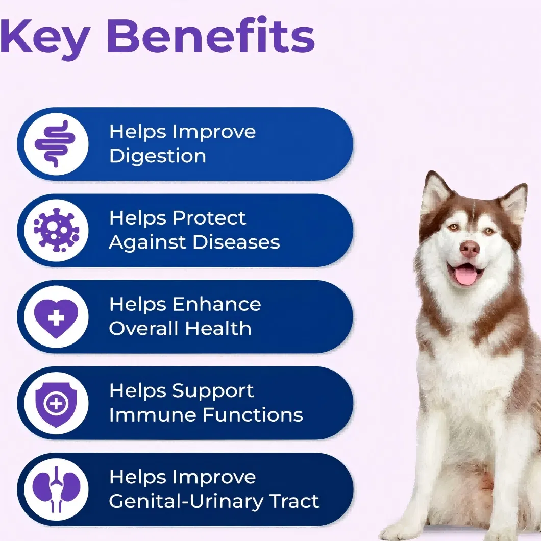 Multivitamin Mineral Powder for Dogs and Cats Daily Nutrition Immune Booster OEM Manufacturer