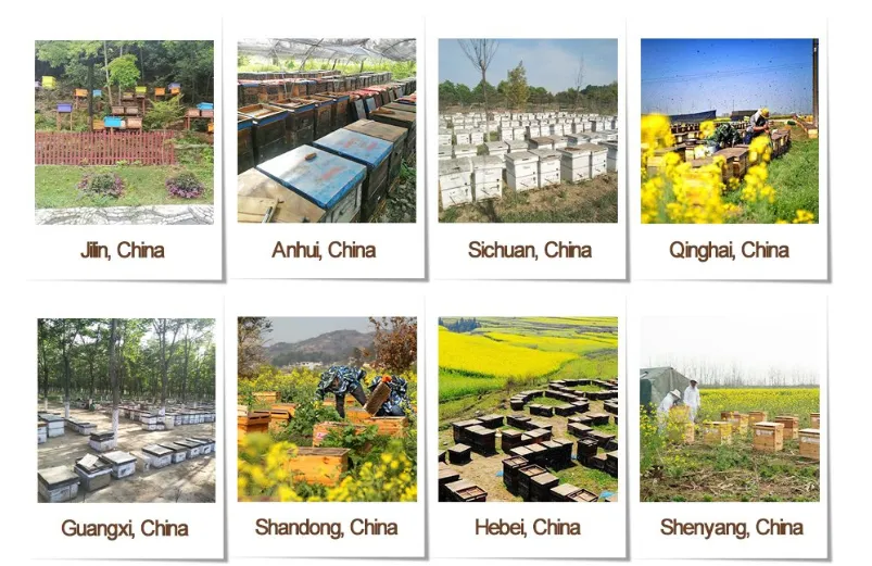 Beehall Bee Products Supplier High Quality Wholesale Royal Jelly