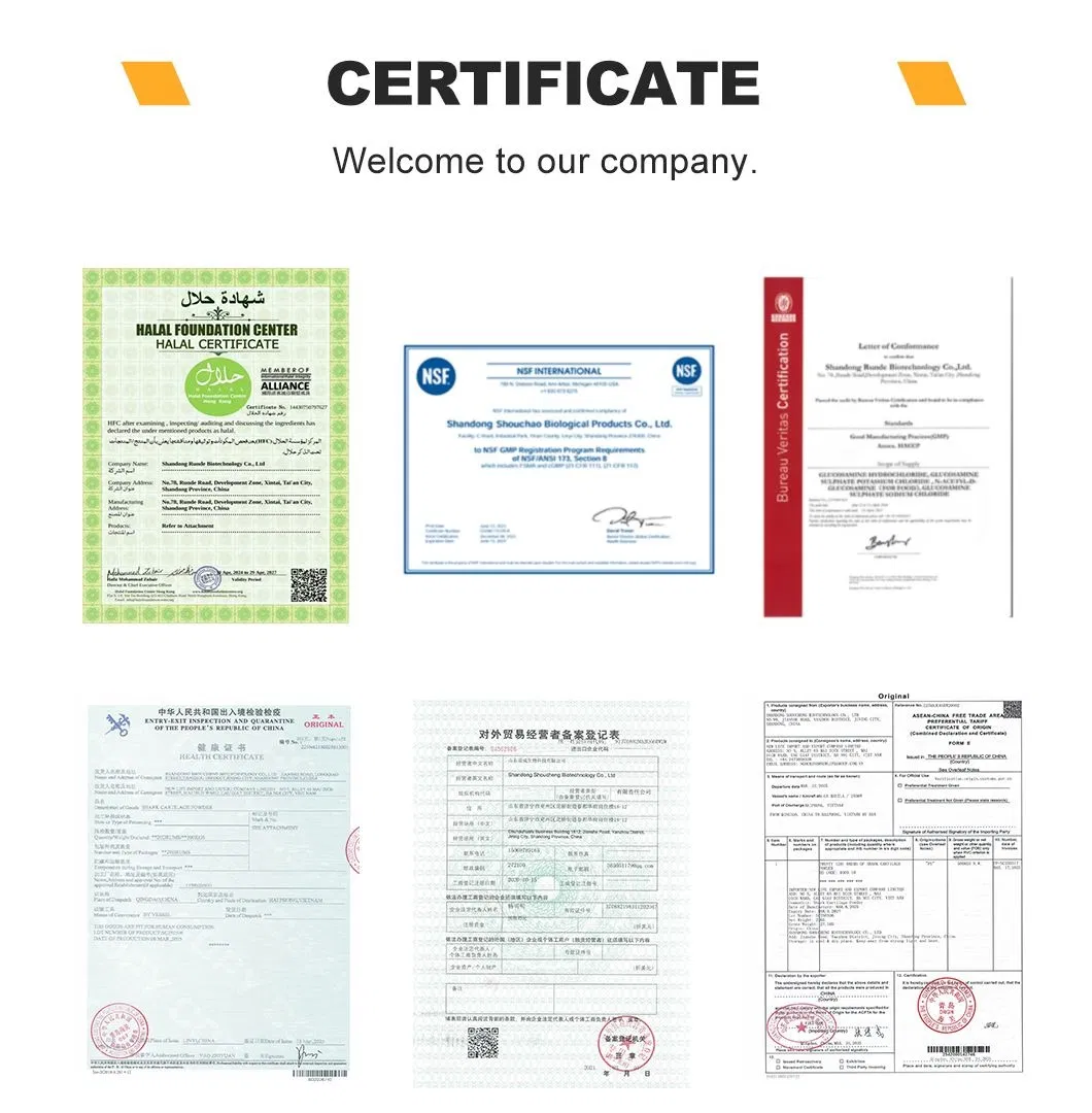 Factory Supply D-Glucosamine Hydrochloride Glucosamine HCl Powder Raw Material CAS 66-84-2