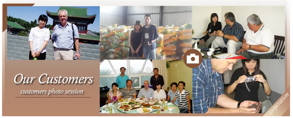 Top Quality&Severice High Purity Amino Acid Fertilizer Suppliers