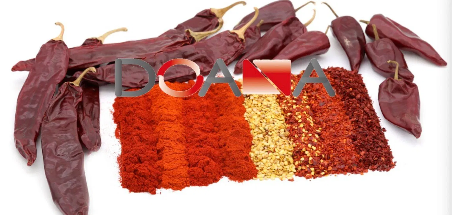 Wholesale Price Crushed Hot Chili Pepper Flakes Dried Red Powder Chilli