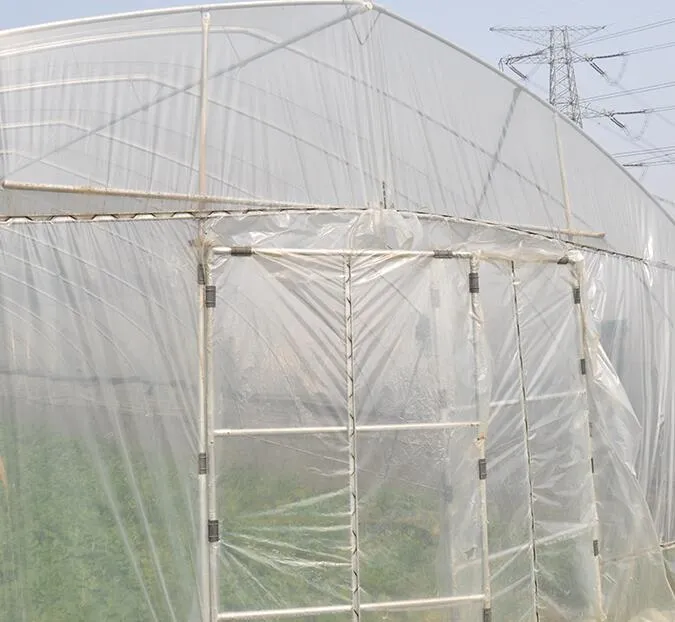 Multi-Span Frame Structure Efficient Tomato Greenhouse with Multi-Span Frame and Plastic Cover