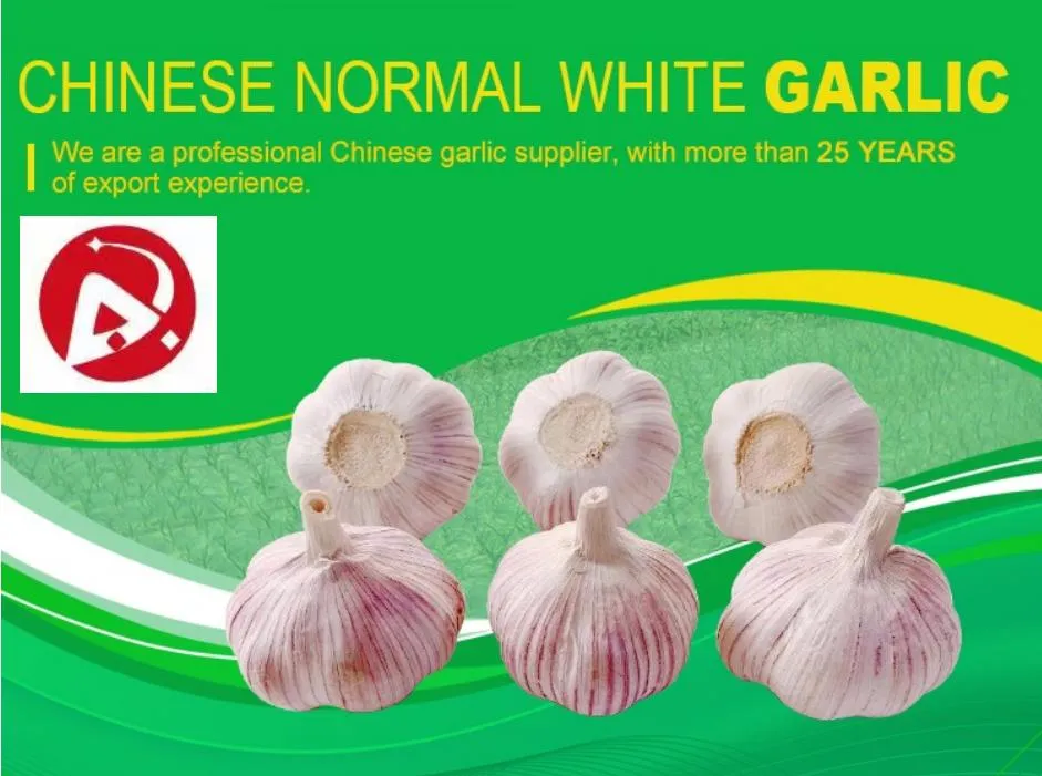 2025 High Quality Fresh Normal White Garlic 4.5cm-6.0cm Pure White Garlic for Sale