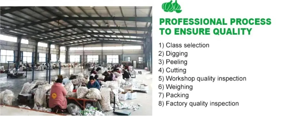 2025 High Quality Fresh Normal White Garlic 4.5cm-6.0cm Pure White Garlic for Sale