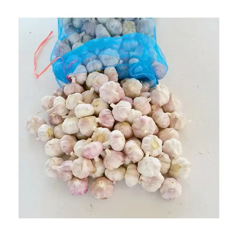 2025 High Quality Fresh Normal White Garlic 4.5cm-6.0cm Pure White Garlic for Sale
