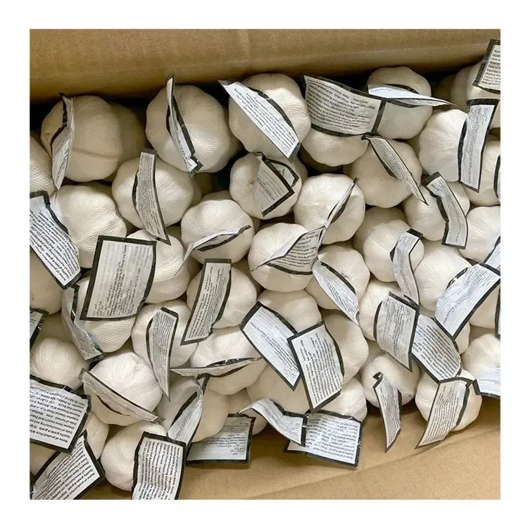 2025 High Quality Fresh Normal White Garlic 4.5cm-6.0cm Pure White Garlic for Sale