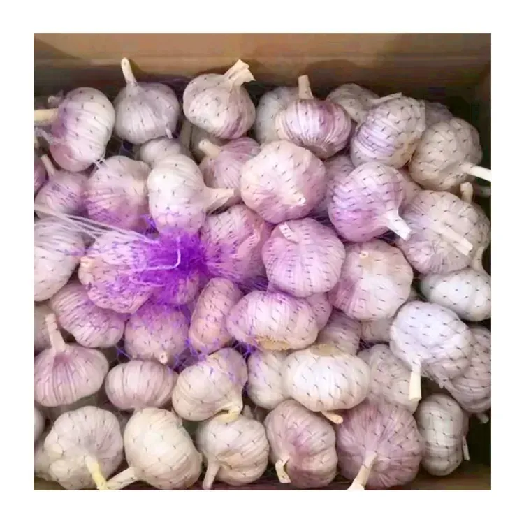 2025 High Quality Fresh Normal White Garlic 4.5cm-6.0cm Pure White Garlic for Sale