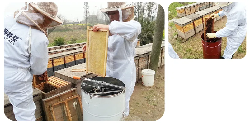 Beehall Bee Products Manufacturer Natural Bulk Vitex Honey