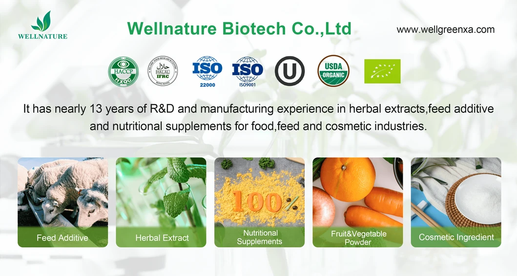 Natural Antioxidant Rosemary Leaf Extract for Food Preservation and Oil Stability with ISO22000