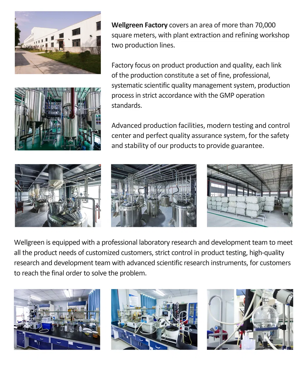 Natural Antioxidant Rosemary Leaf Extract for Food Preservation and Oil Stability with ISO22000