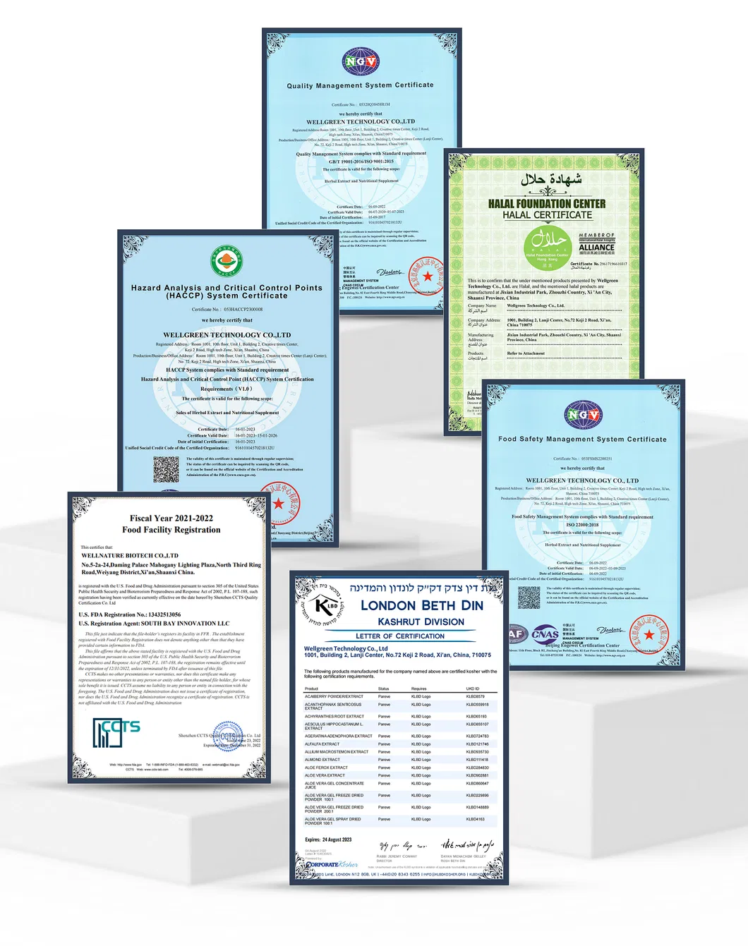 Natural Antioxidant Rosemary Leaf Extract for Food Preservation and Oil Stability with ISO22000