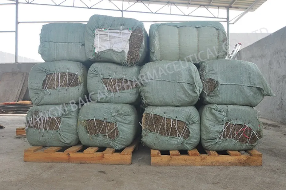 Therapeutic Grade Spearmint Essential Oil Essential Oil Wholesale