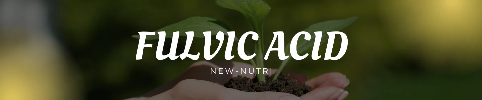 Bio Fulvic Acid and Mineral Fulvic Acid, Boost Your Soil's Organic Matter Naturally