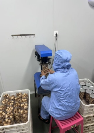 Wholesale Price Export 500g Canned Fermented Solo Clove Black Garlic