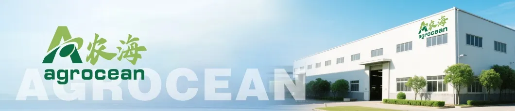 Wholesale Price Export 500g Canned Fermented Solo Clove Black Garlic