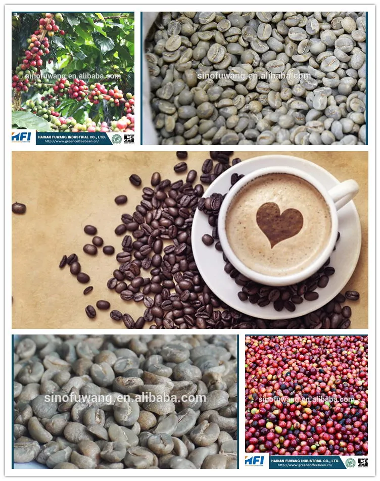 Yunnan Arabica Green Coffee Bean