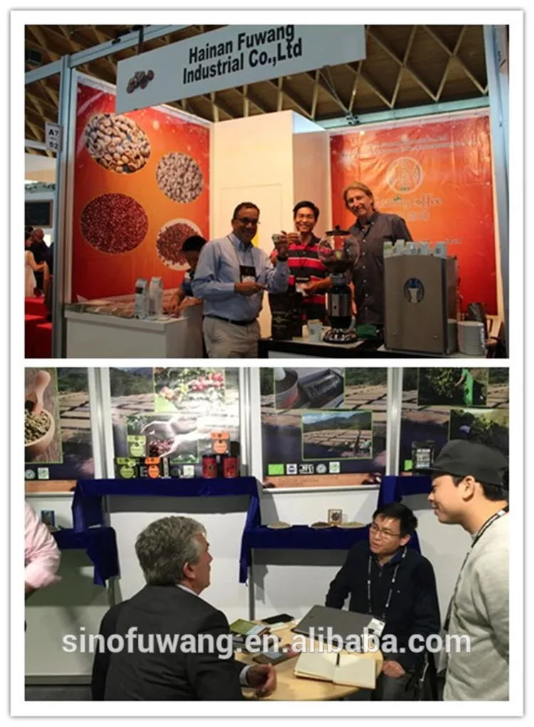 Yunnan Arabica Green Coffee Bean