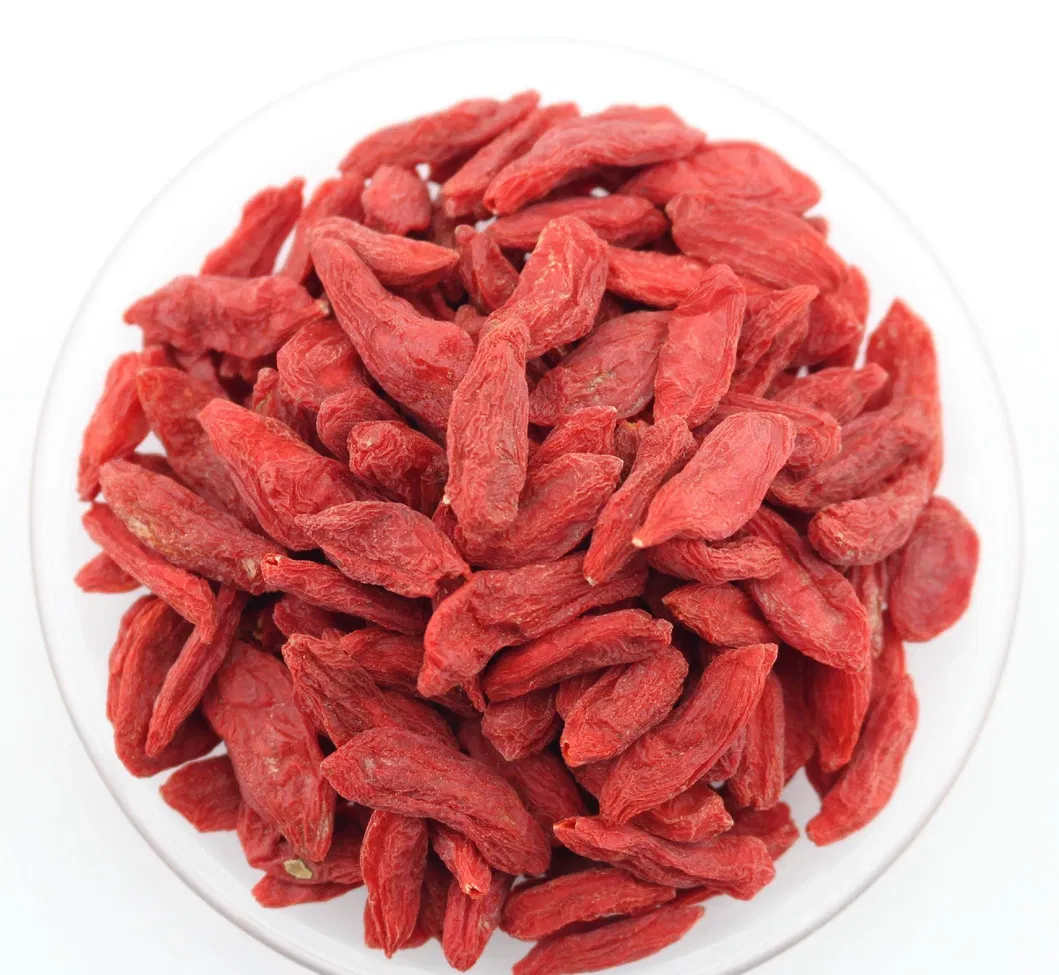 Organic Goji Berry Healthy Product