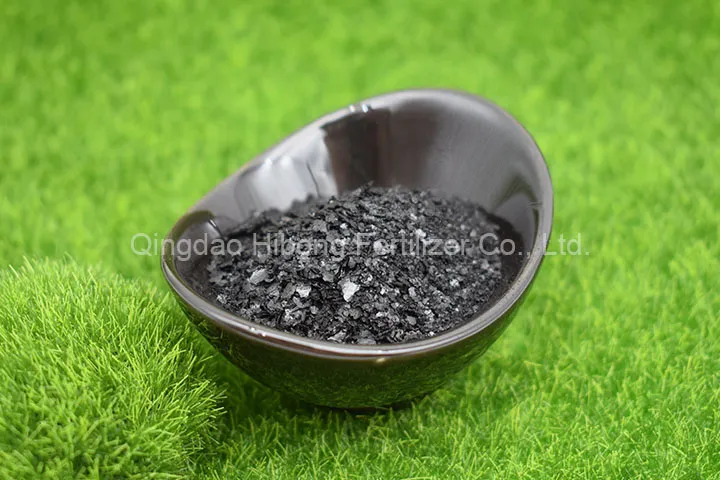 Ascophyllum Nodosum Extract, Kelp Extract, Seaweed Extract