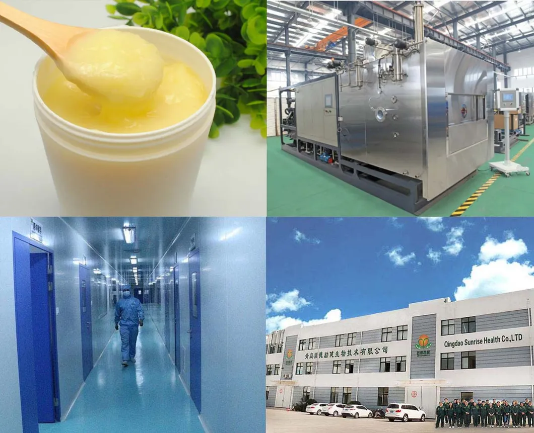 GMP Manufacturer Hot Selling Fresh Royal Jelly