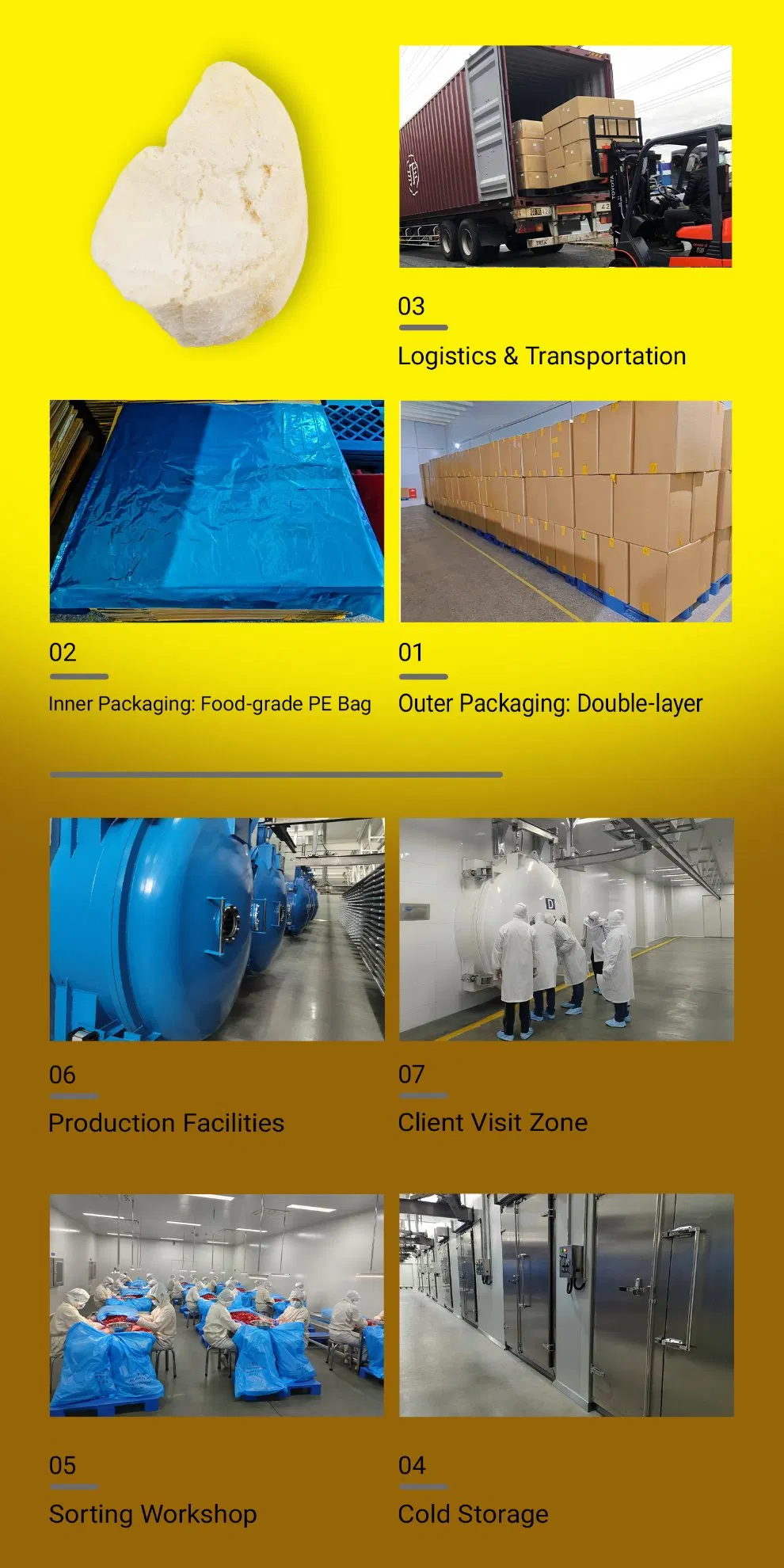 Wholesale Freeze Dried Durian, 100% Natural Creamy Freeze Dried Fruit Snack, Bulk Supply for Big Buyers