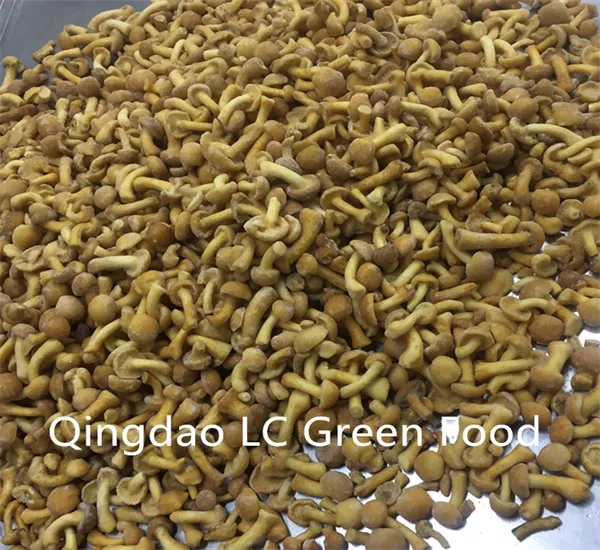 Best Quality Nameko Mushroom in Whole Vegan Natural Plant-Based Product