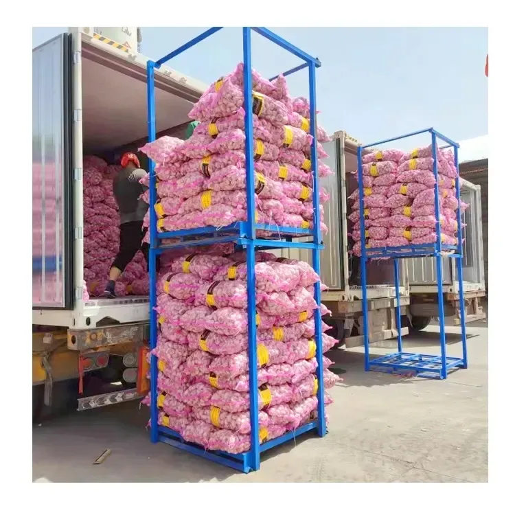 New Crop Garlic Price Garlic 10kg Carton