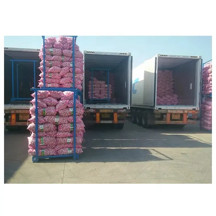 New Crop Garlic Price Garlic 10kg Carton