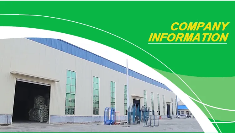 New Crop Garlic Price Garlic 10kg Carton