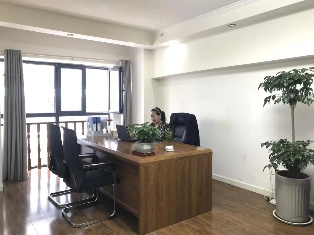 New Crop Garlic Price Garlic 10kg Carton