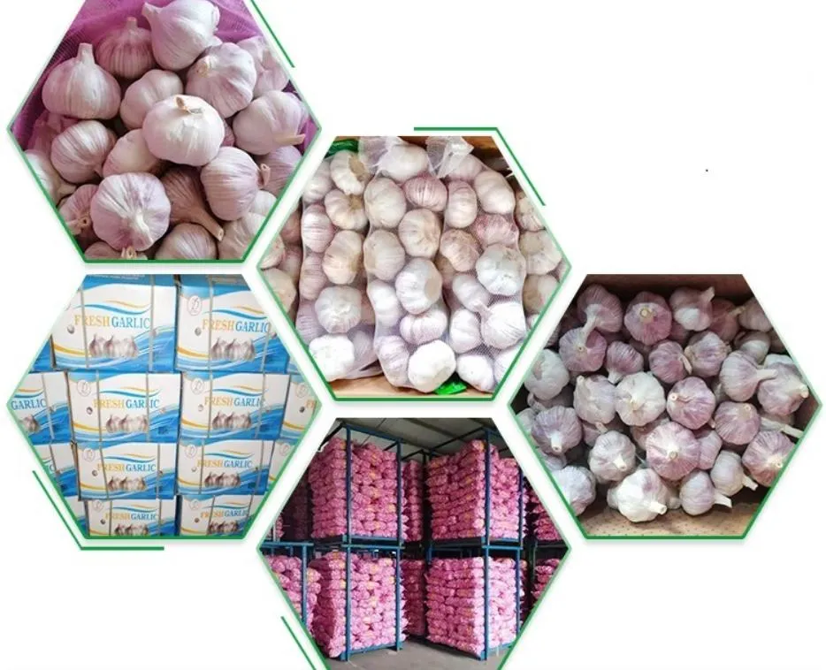 New Crop Garlic Price Garlic 10kg Carton