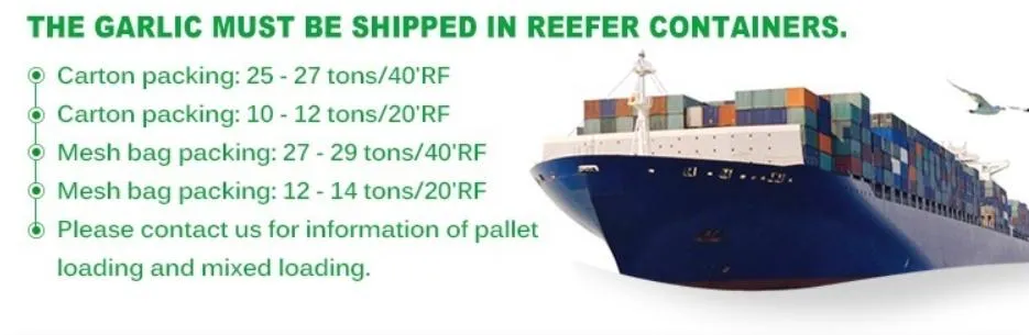 New Crop Garlic Price Garlic 10kg Carton