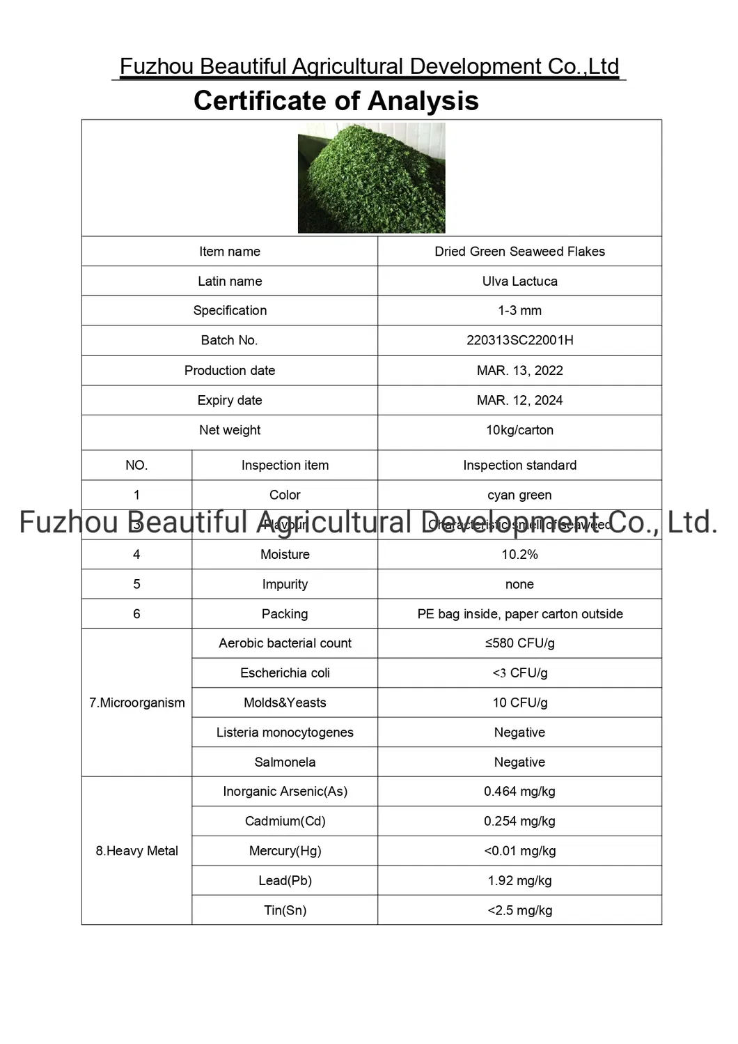 Dried Ulva Seaweed The Best Quality Competitive Price