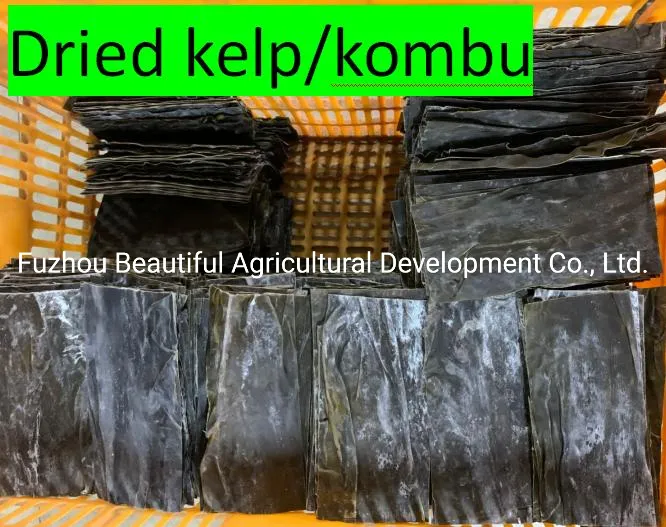 Dried Ulva Seaweed The Best Quality Competitive Price