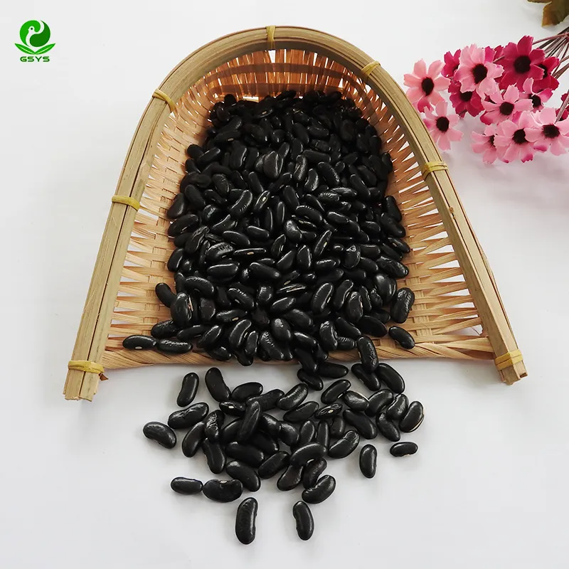 Wholesale High Kidney Beans Export Little Black Kidney Bean