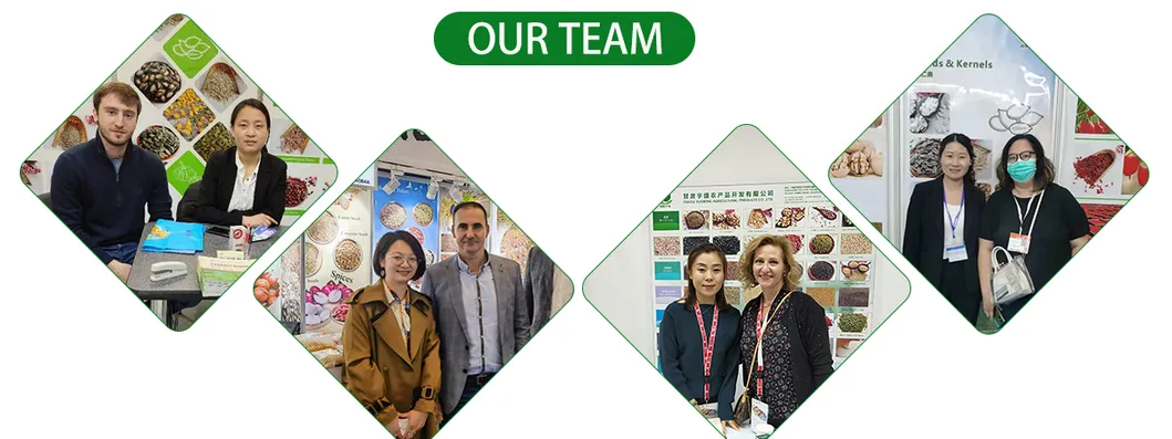 Wholesale High Kidney Beans Export Little Black Kidney Bean