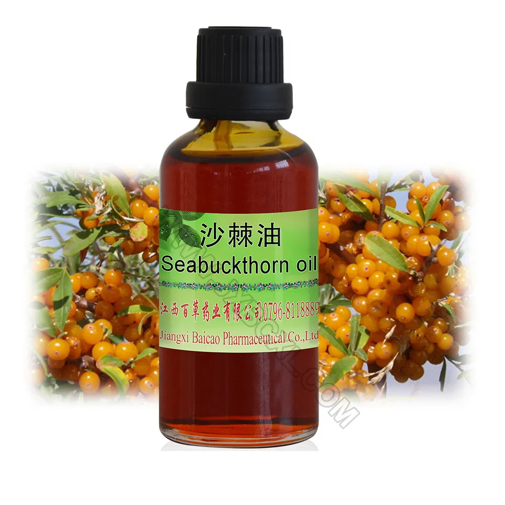 Factory Wholesale Bulk Seabuckthorn Oil Essential Oil