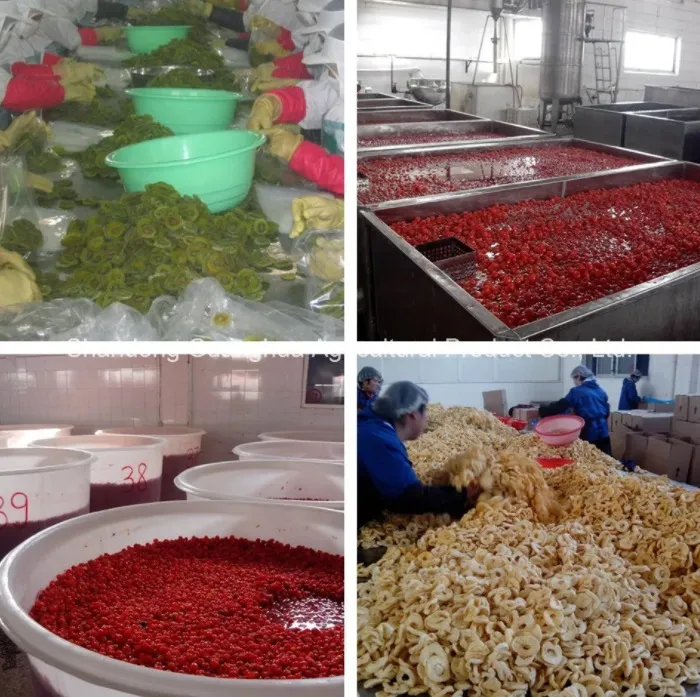 New Crop Dried Apple Ring with Ce