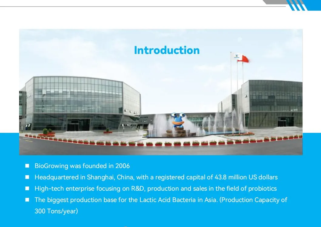 OEM Oral Liquid Probiotic Drops with Lactobacillus Acidophilus Probiotic OEM