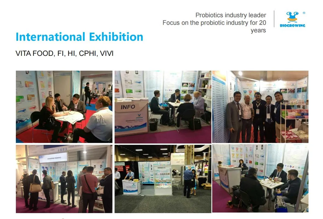 OEM Oral Liquid Probiotic Drops with Lactobacillus Acidophilus Probiotic OEM