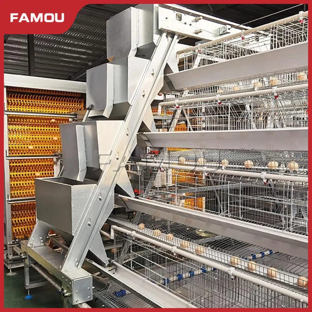 New Design Chicken Poultry Layer Farm a Type Cage with 275g Zinc Hot Dipped Galvanized Magnesium-Zinc Plated Wire Automated Trolley Feed