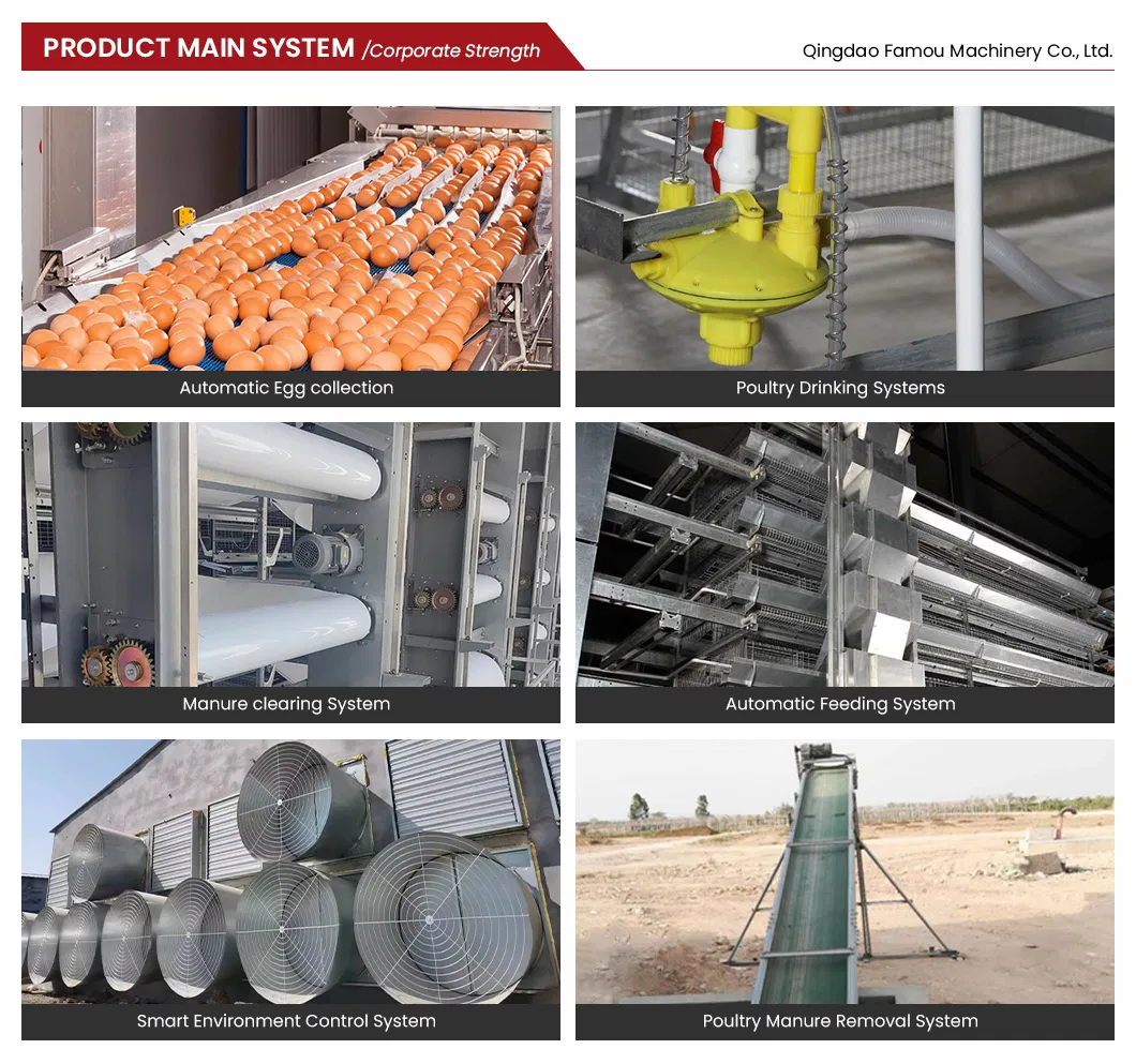 New Design Chicken Poultry Layer Farm a Type Cage with 275g Zinc Hot Dipped Galvanized Magnesium-Zinc Plated Wire Automated Trolley Feed